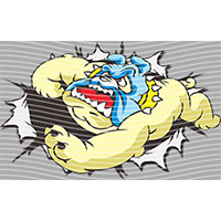 Cartoons and other-CO 1339